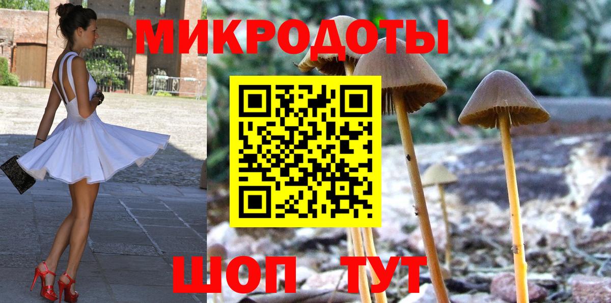 Галлюциногенные грибы Psilocybe Лесосибирск