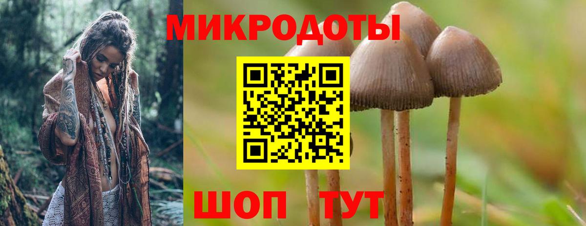 Псилоцибиновые грибы Cubensis  Псилоцибиновые грибы мухоморы  Вход с VPN  Лесосибирск 